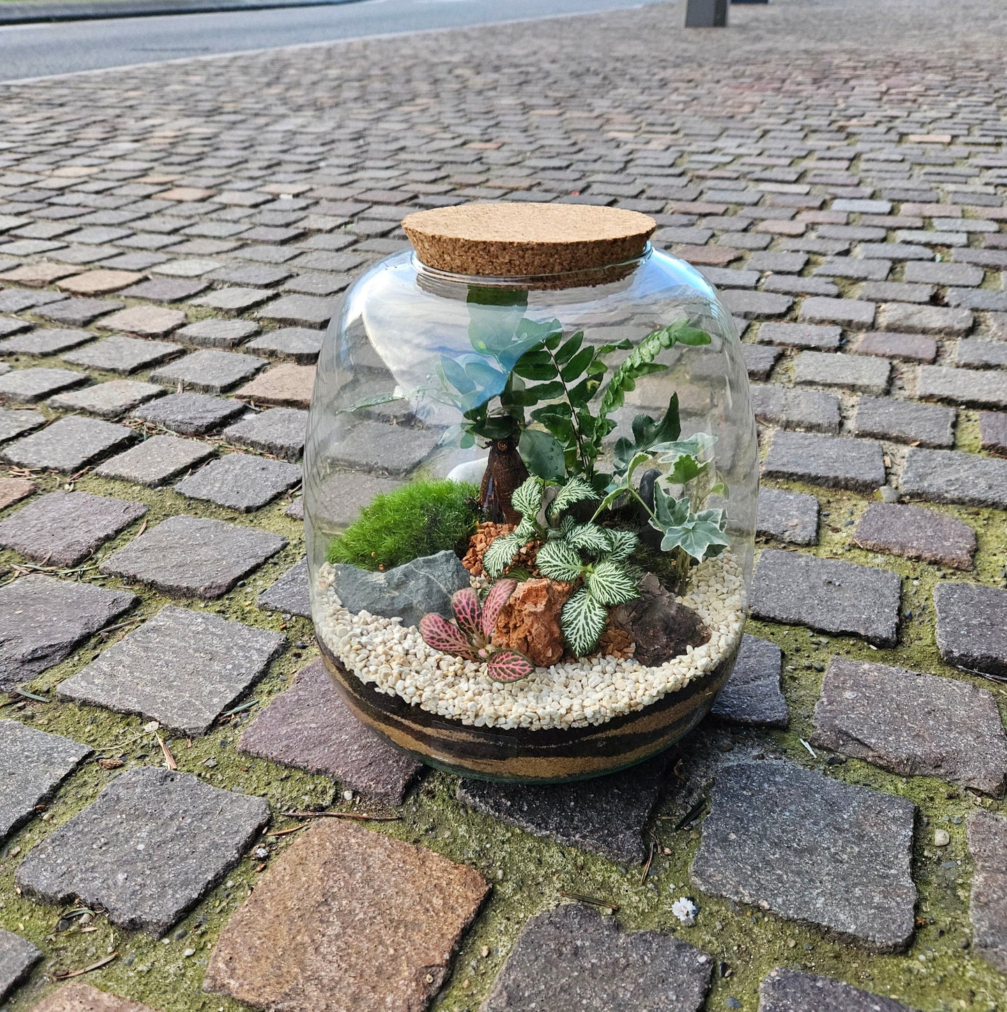 Atelier "Création d'un terrarium"