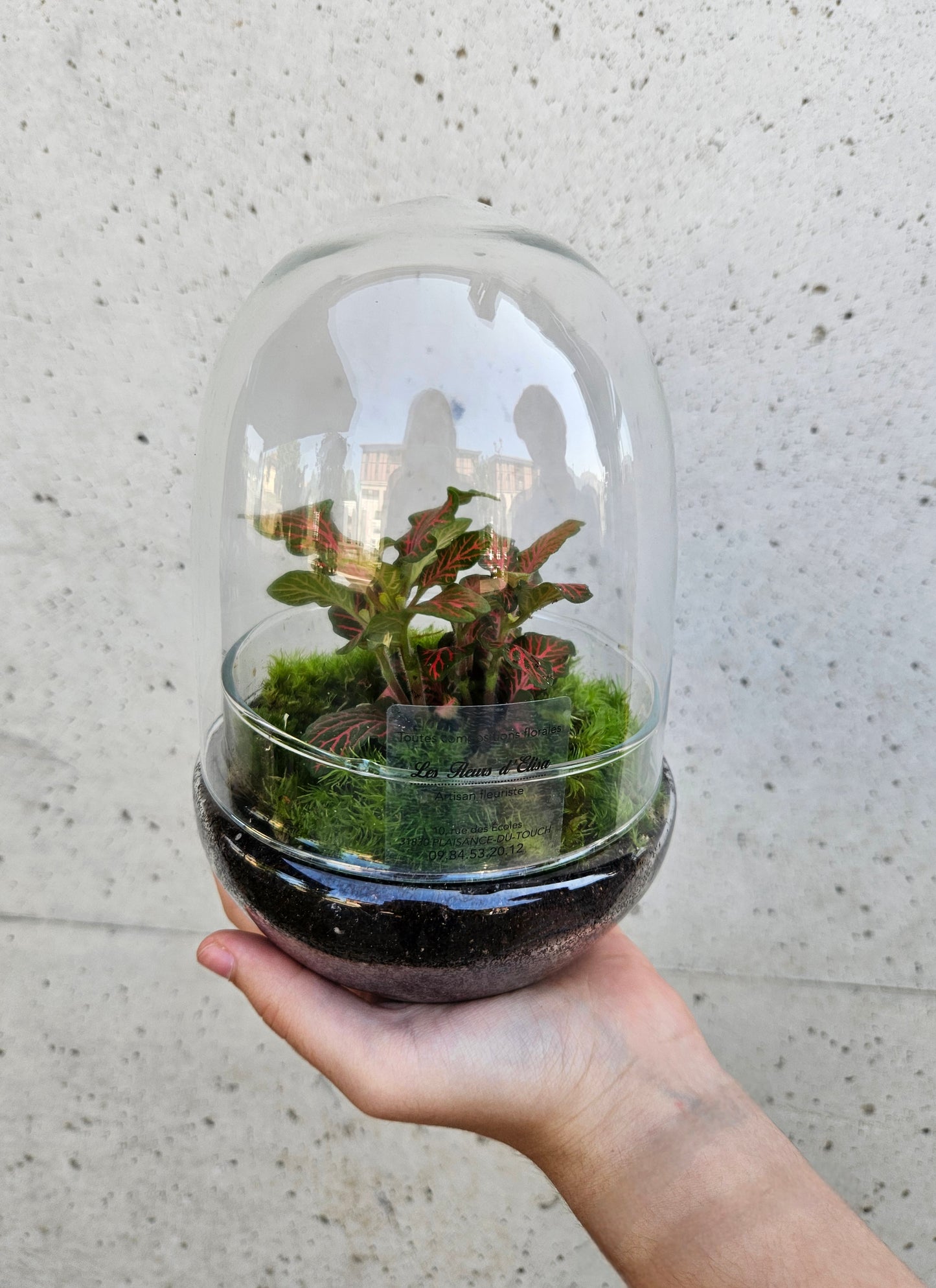 Petit Terrarium