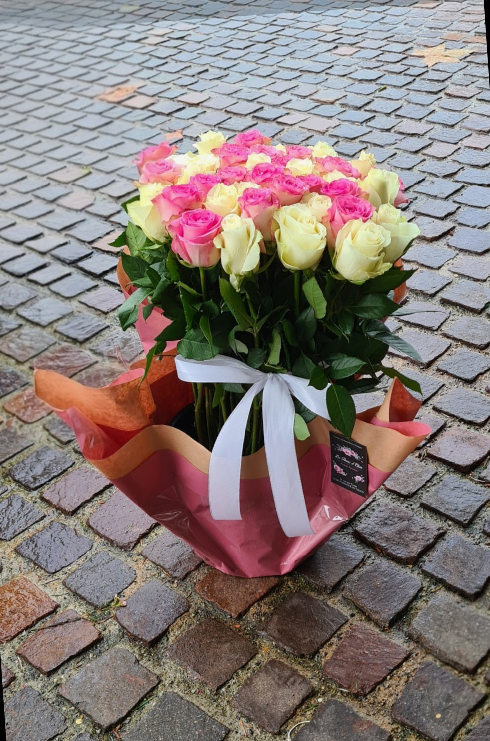 Rose Du Dernier Adieu