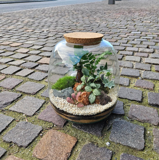 Atelier "Création d'un terrarium"