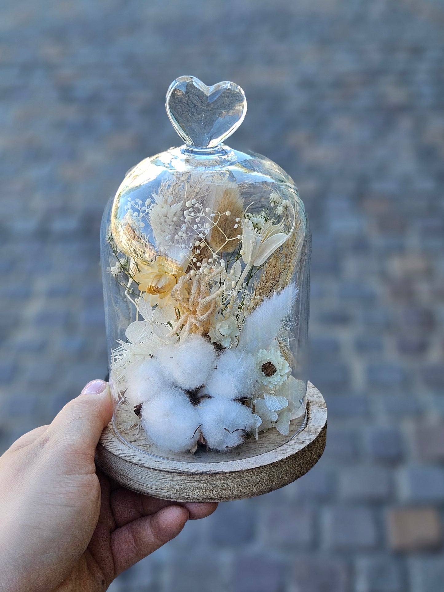 Cloche de fleurs séchées "COTON"