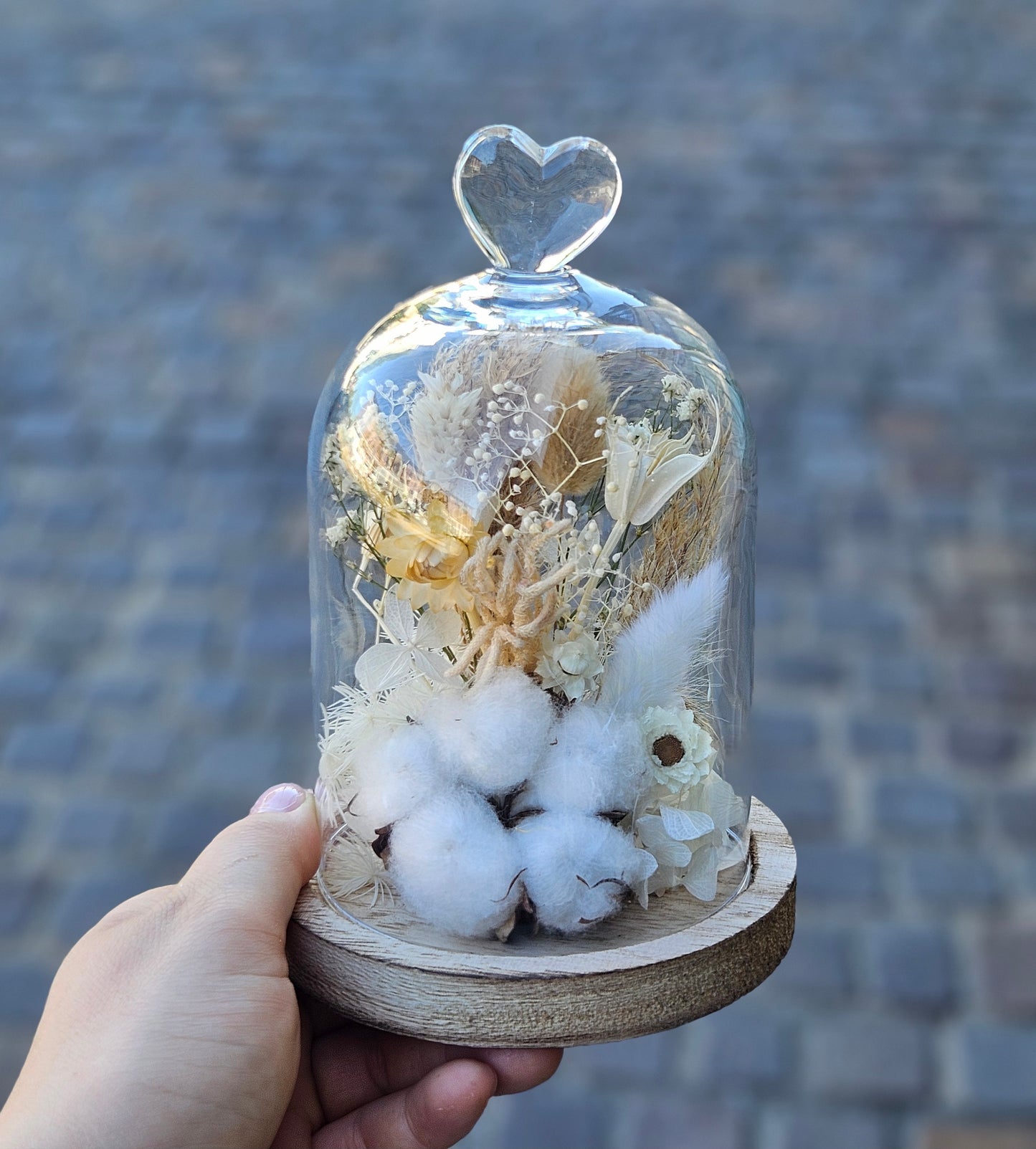 Cloche de fleurs séchées "COTON"