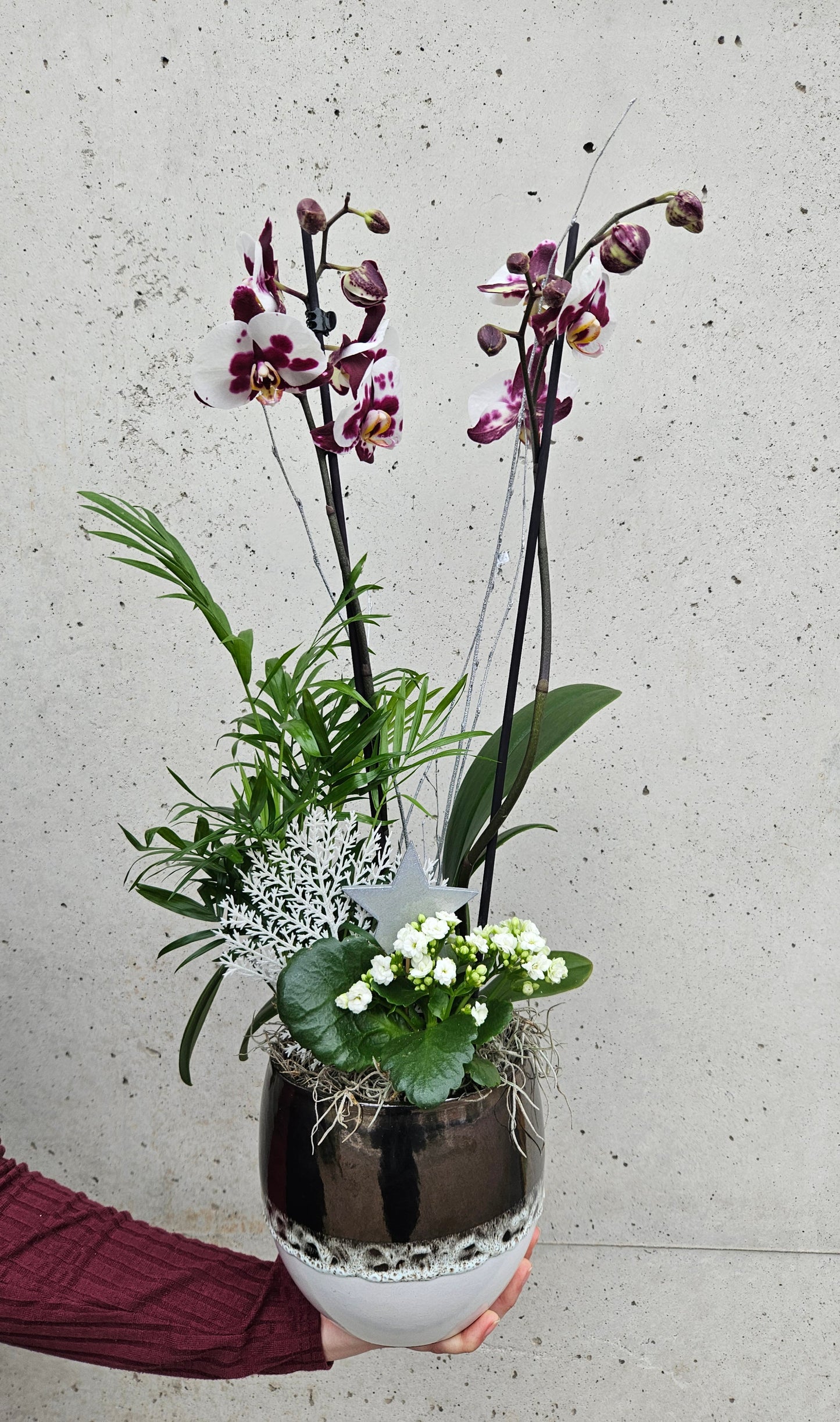 Composition Argenté