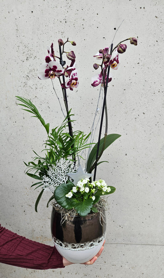 Composition Argenté