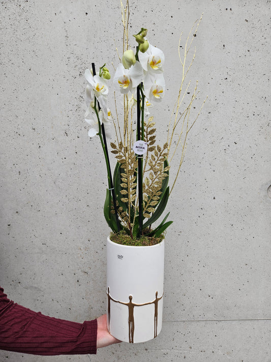 Orchidée Décorative