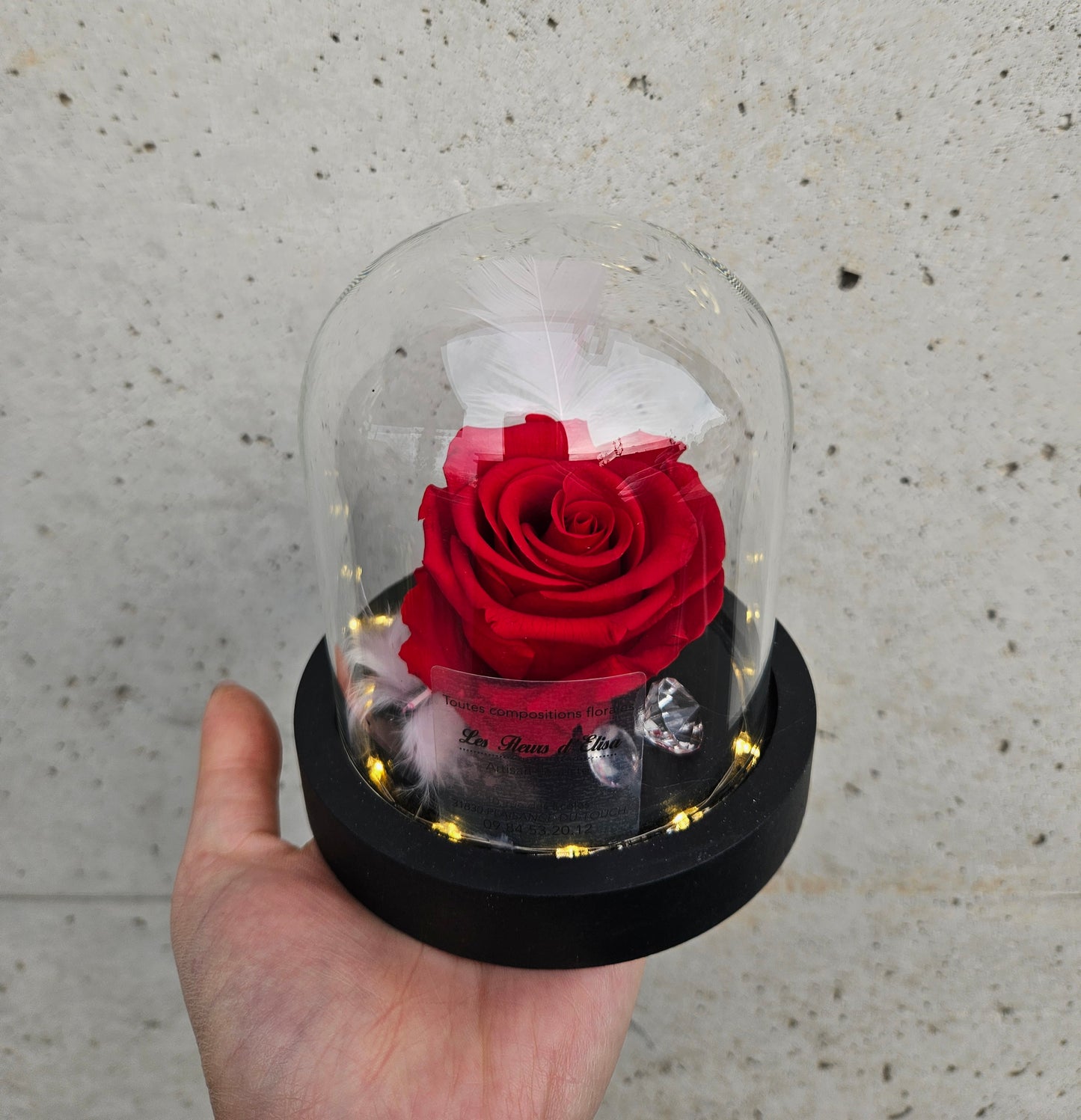 Cloche Rose Eternelle lumineuse