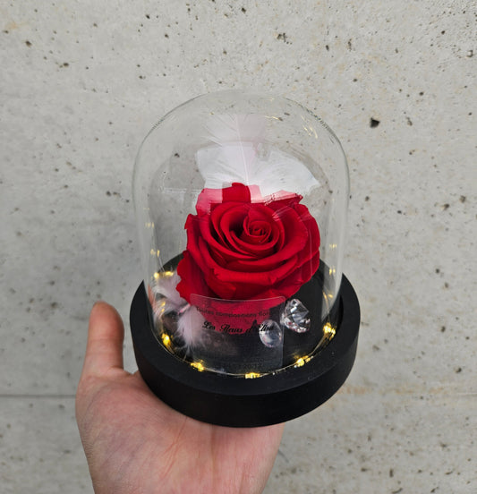 Cloche Rose Eternelle lumineuse