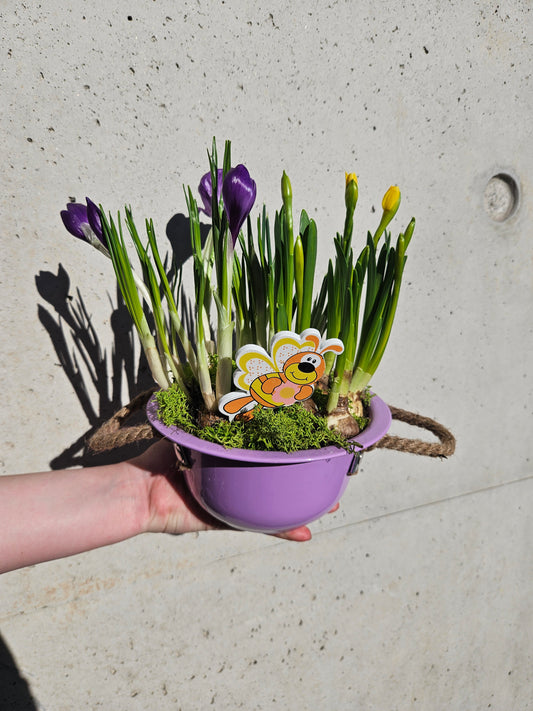 Composition de Bulbes