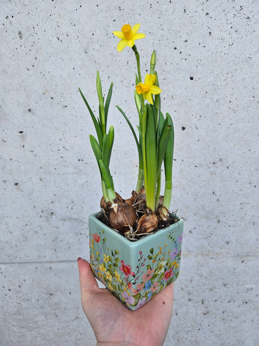 Petit Pot de Jonquilles
