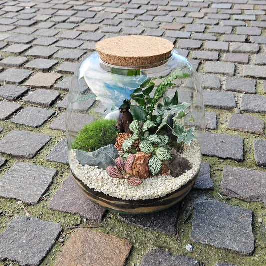 Terrarium